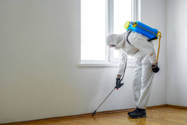 Best Best Pest Control Companies  in Frisco City, AL