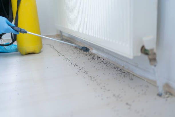 Best Exterminator Services  in Frisco City, AL